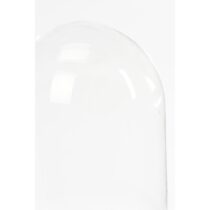 Hella Glazen Stolp - H23 x Ø17 cm - Transparant, Zwart - Afbeelding 2