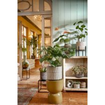 Jay Vaas - L18 x B8 x H23 cm - Glas - Lichtgroen - Afbeelding 6