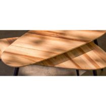 Jailey Bijzettafel - Set van 2 - L84 x B39 x H39 cm - Gerecycled Hout - Bruin - Afbeelding 9