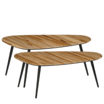 Jailey Bijzettafel - Set van 2 - L84 x B39 x H39 cm - Gerecycled Hout - Bruin